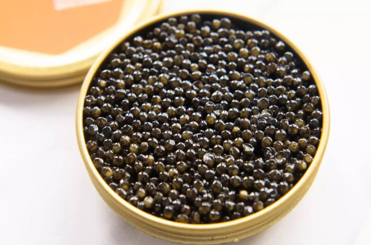 Tidak hanya mewah, mengenali 6 manfaat Caviar yang baik untuk tubuh