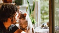 5 Penyakit yang Dapat Menular dari Kucing ke Manusia