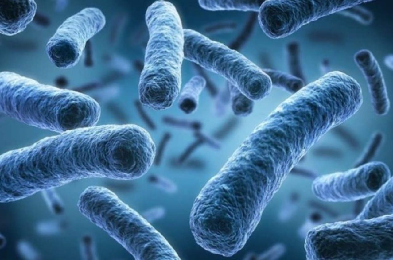 Fakta Legionella, Penyebab Pneumonia Misterius di Argentina