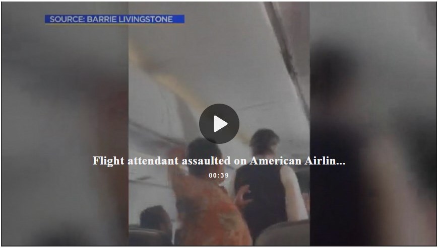 Video shows passenger punching flight attendant on Mexico-to-L.A. flight
