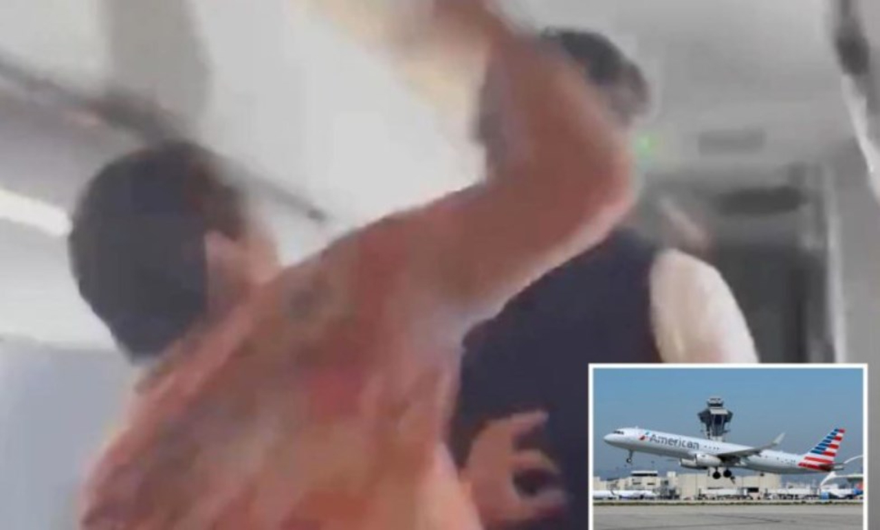 Video shows passenger punching flight attendant on Mexico-to-L.A. flight
