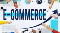 5 E-Commerce Karya Anak Bangsa, Pelajari Sejarah dan Perkembangannya