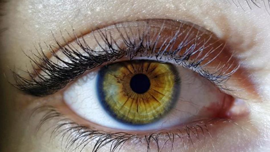 Mata Silinder adalah Astigmatisme, Ketahui Penyebab dan Cara Mengatasinya